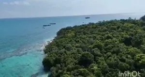 *48 Acres Beach Plot for Sale in Vikunguni Island, Pemba*