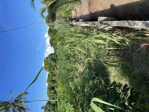 1400 SQM Plot for Sale Kigamboni