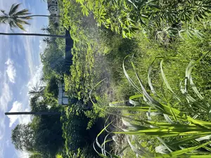 1400 SQM Plot for Sale Kigamboni