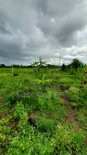 Viwanja Best in East Africa Arusha