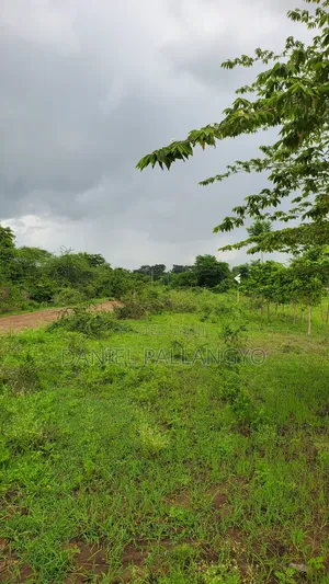 Viwanja Best in East Africa Arusha