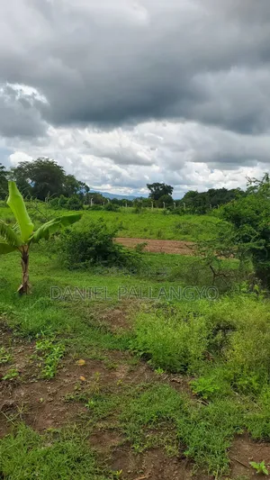 Viwanja Best in East Africa Arusha