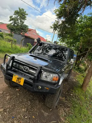 Toyota Land Cruiser 2019 Gray
