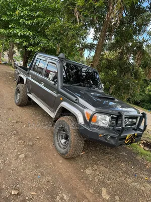 Toyota Land Cruiser 2019 Gray