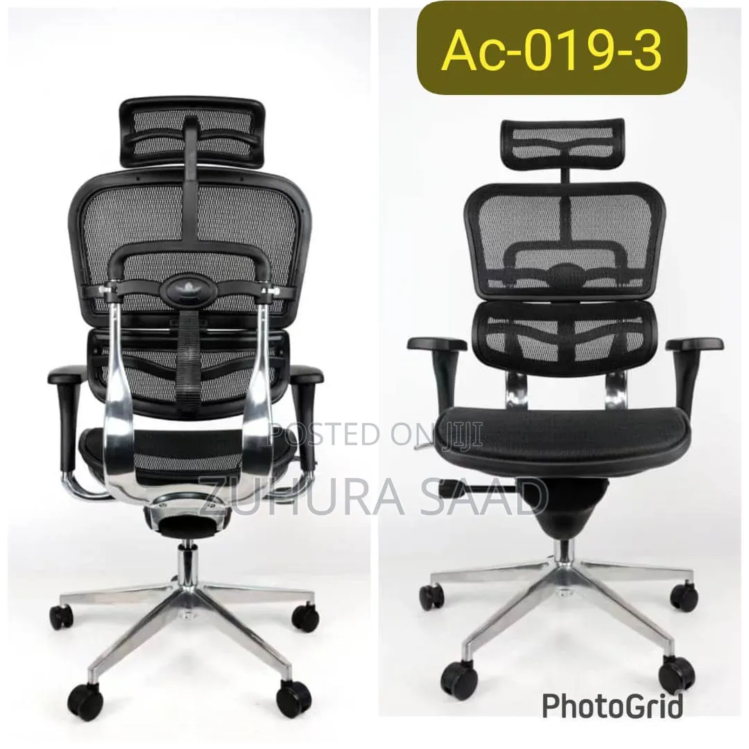 Executive Ergonomic Chair