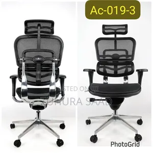 Executive Ergonomic Chair