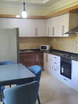 Furnished 3bdrm Apartment in Masaki for rent