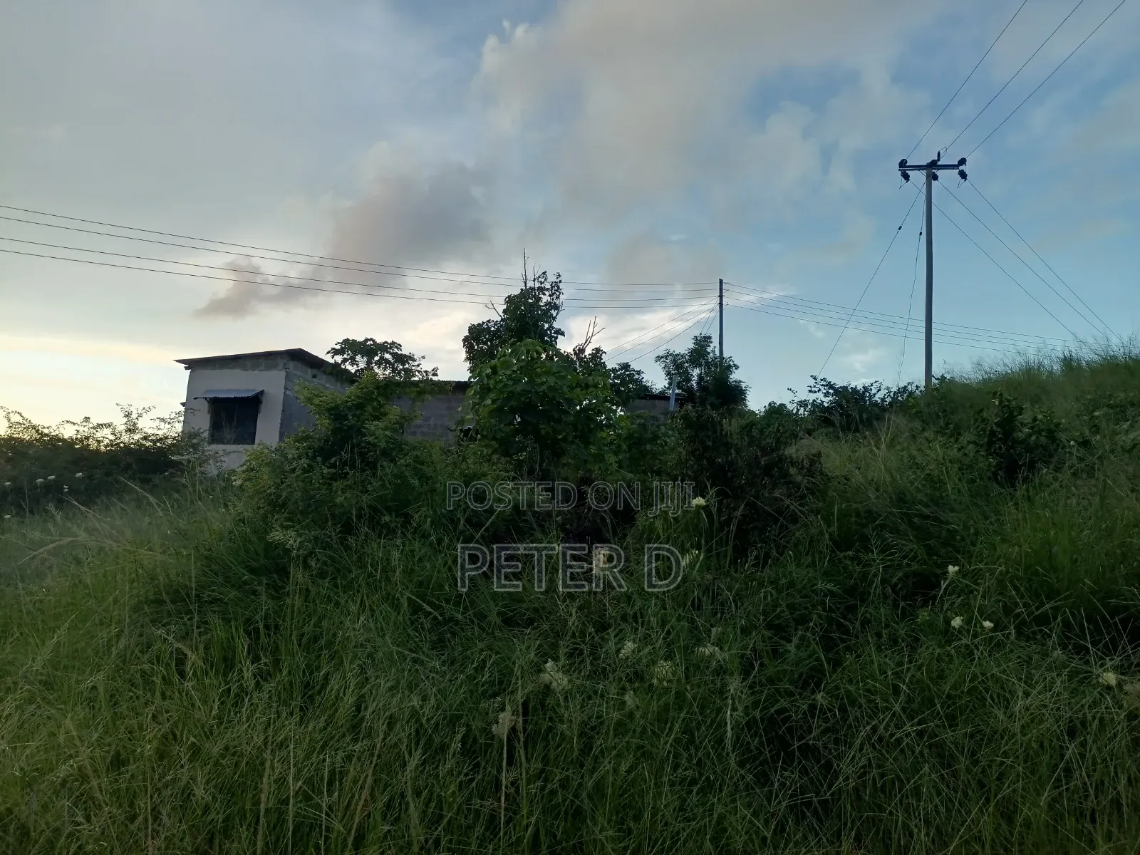Ubungo Makoka Kiwanja Tambarale