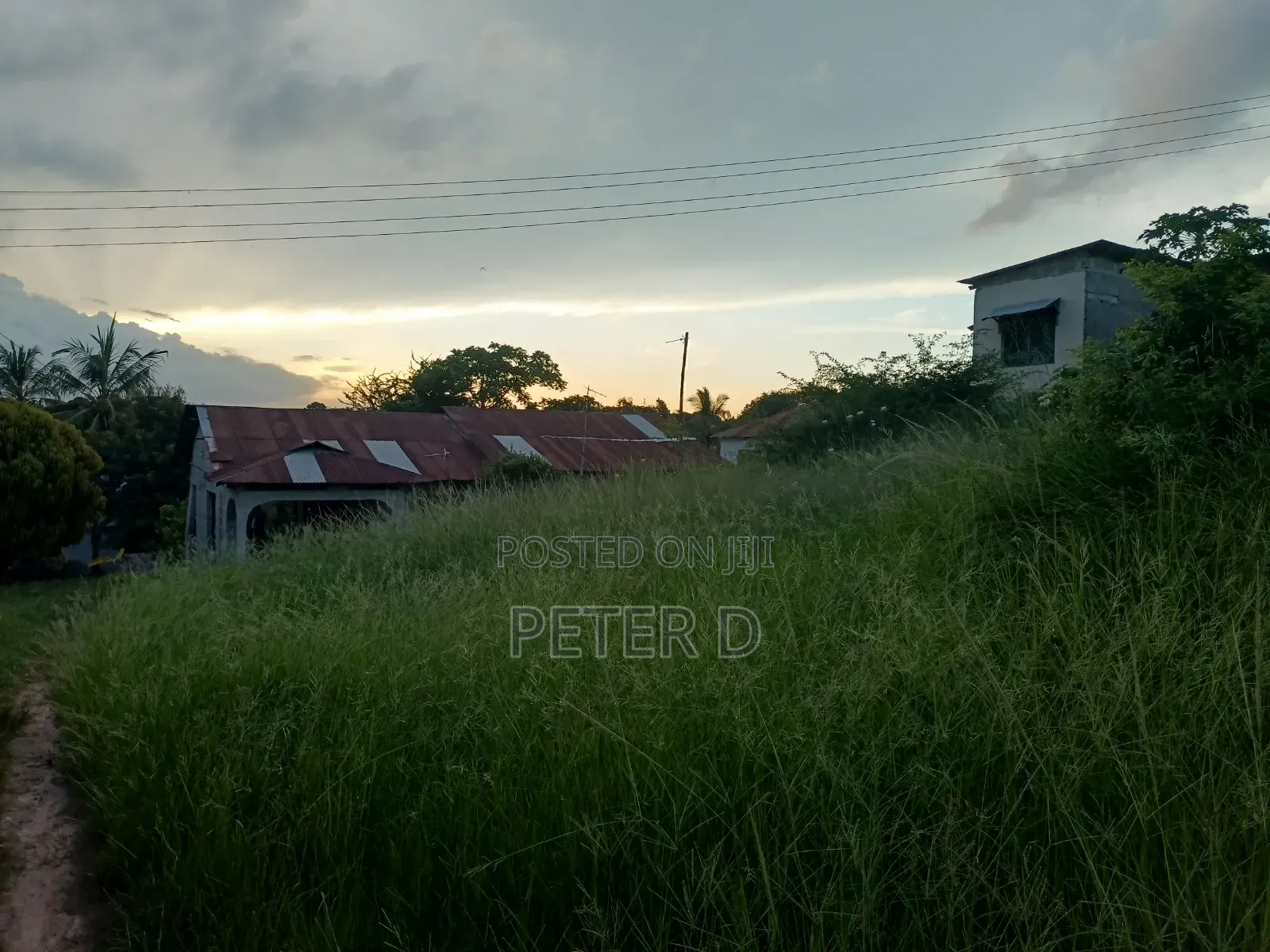 Ubungo Makoka Kiwanja Tambarale