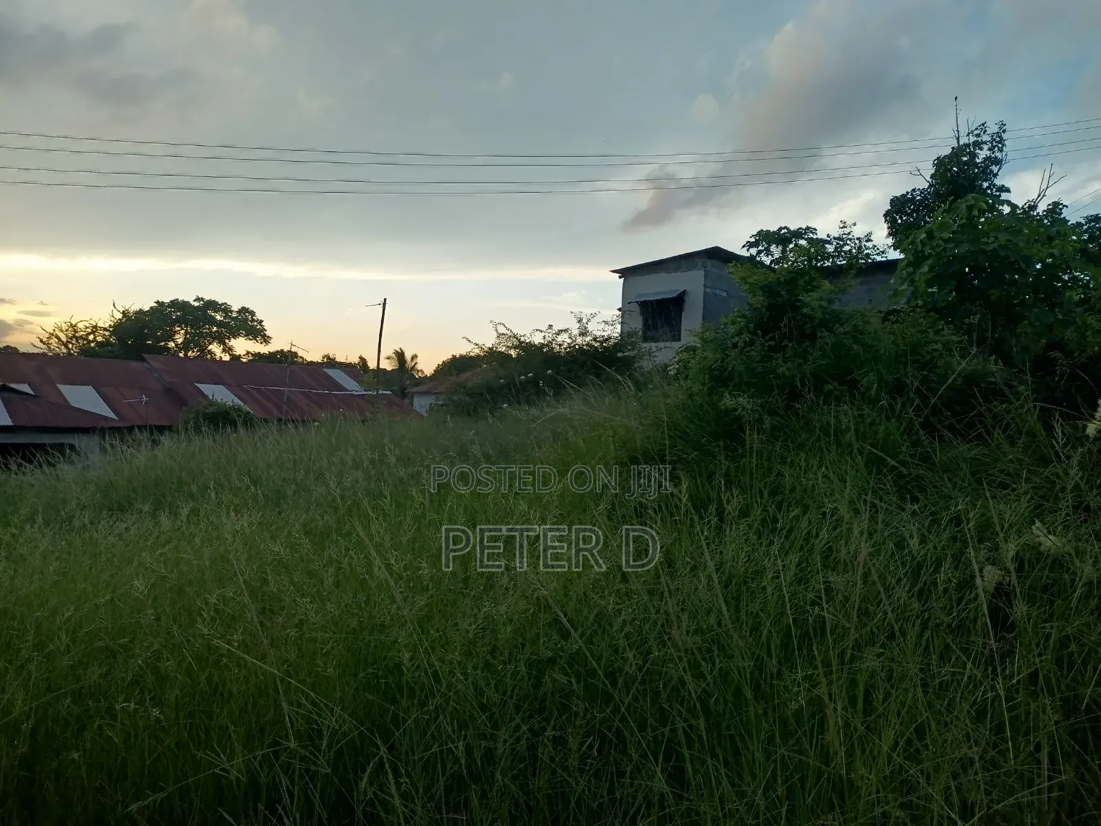 Ubungo Makoka Kiwanja Tambarale