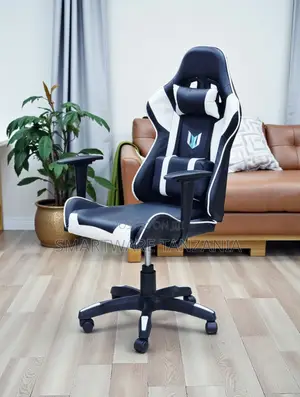 Racing Gaming Chair Black White Lumbar Neck Support Swivel