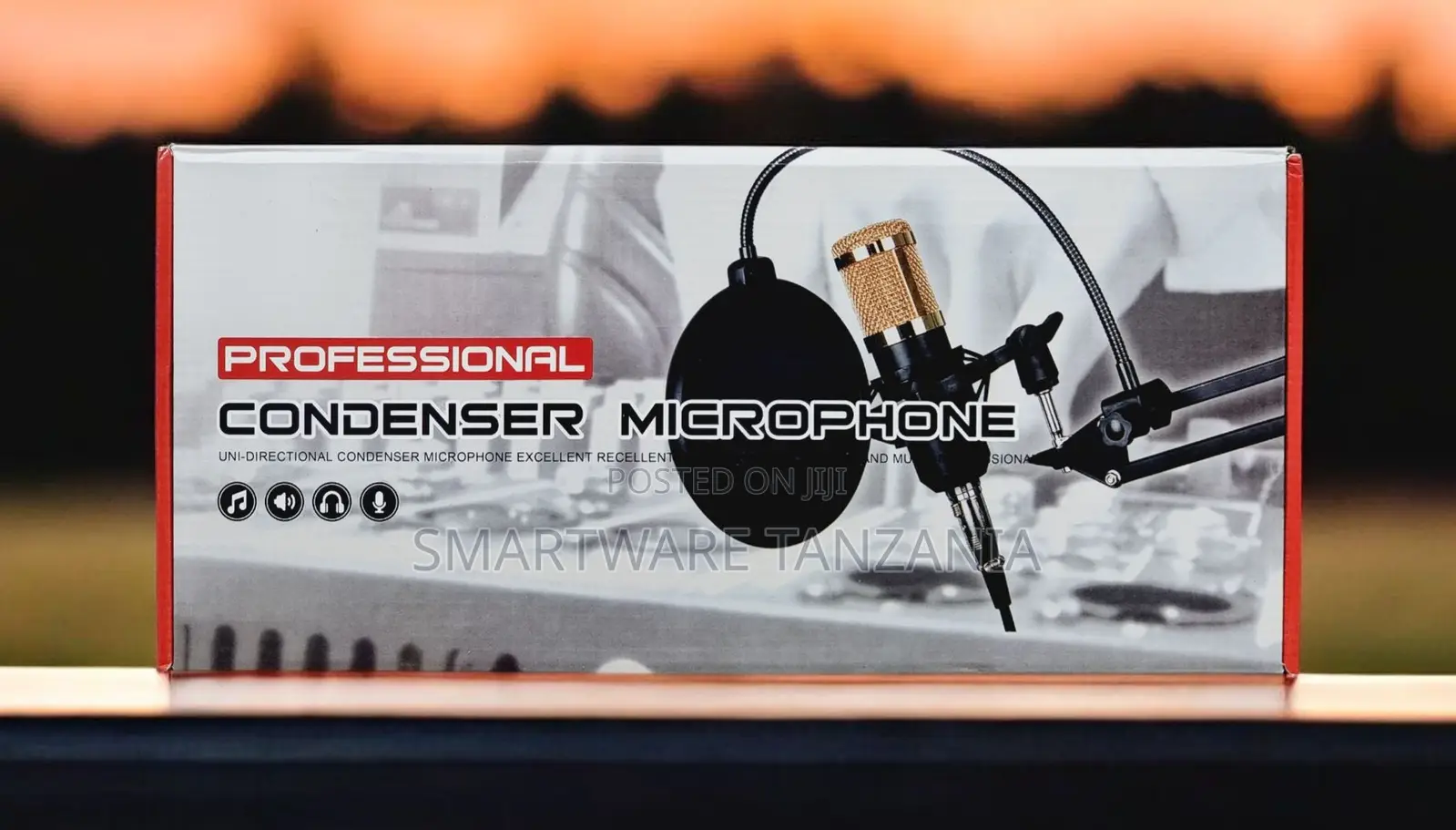Professional Condenser Microphone Kit With Boom Arm Pop Filter