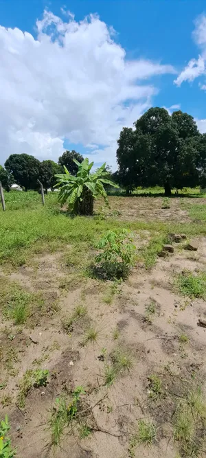 Eneo Linauzwa Kerege Amani - Bagamoyo