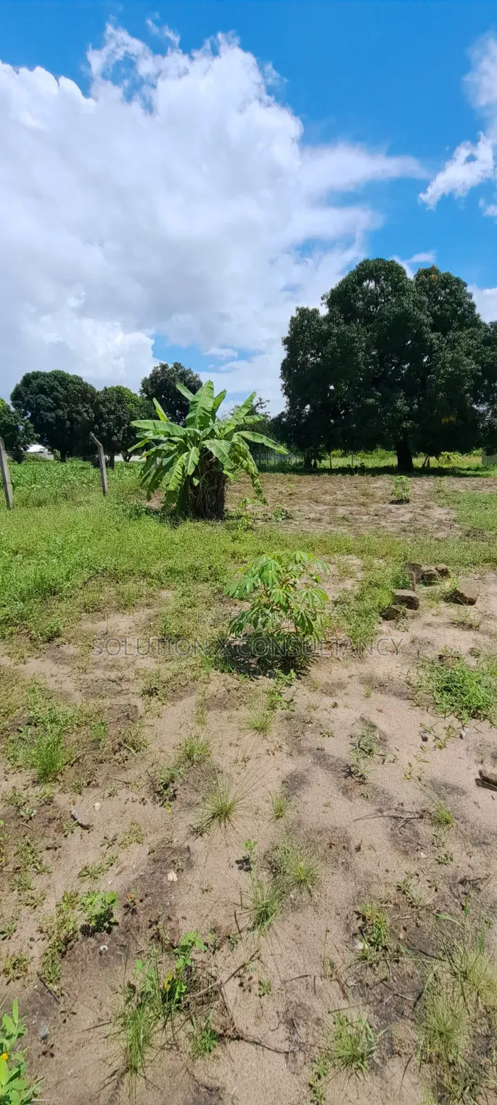 Eneo Linauzwa Kerege Amani - Bagamoyo