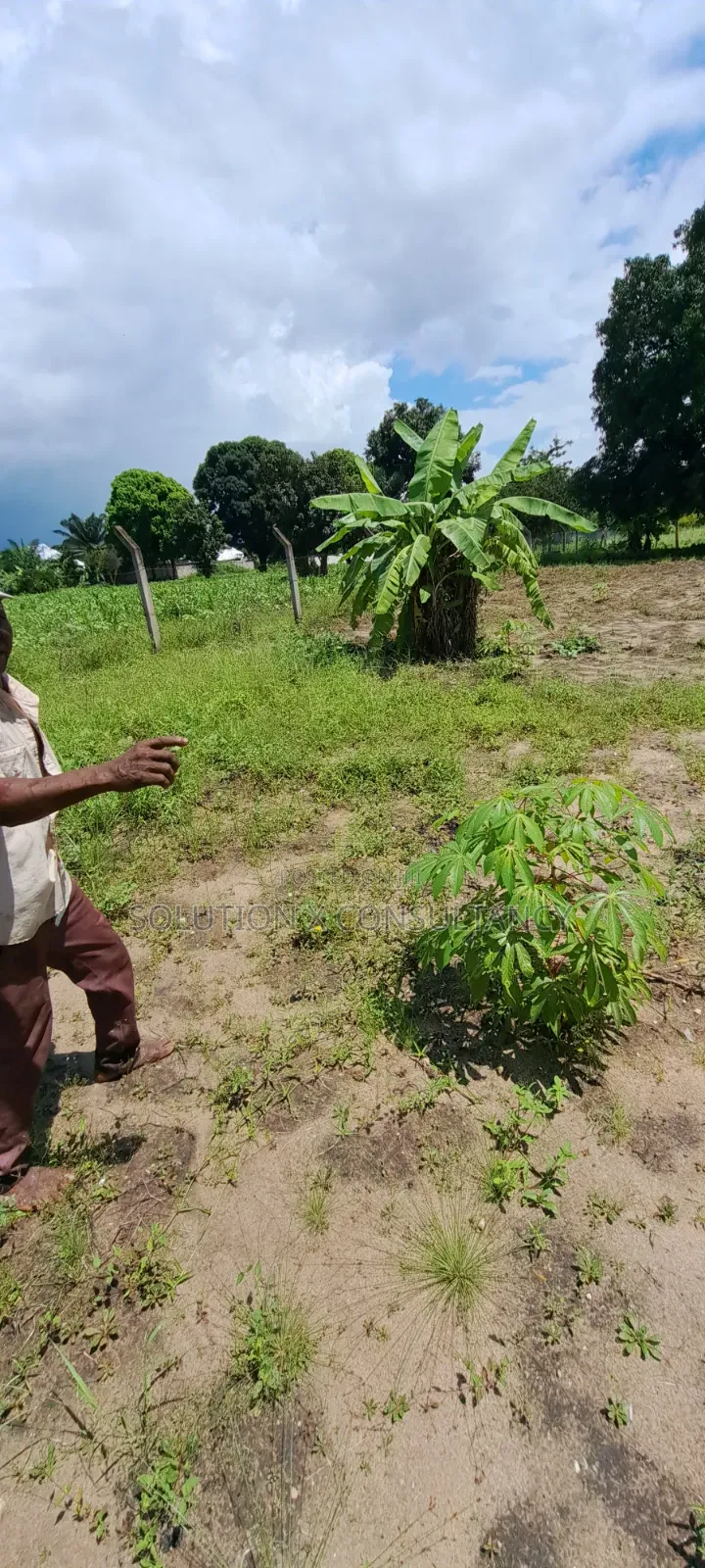 Eneo Linauzwa Kerege Amani - Bagamoyo