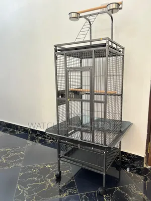 African Grey Cage