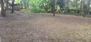Plot for Sale at Olkerian, Arusha