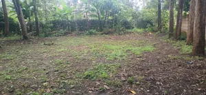 Plot for Sale at Olkerian, Arusha