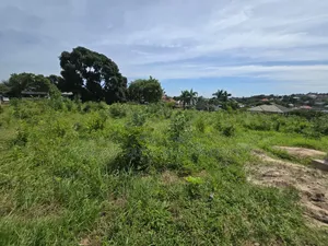Plot Area SQM 1300 for Sale at Goba