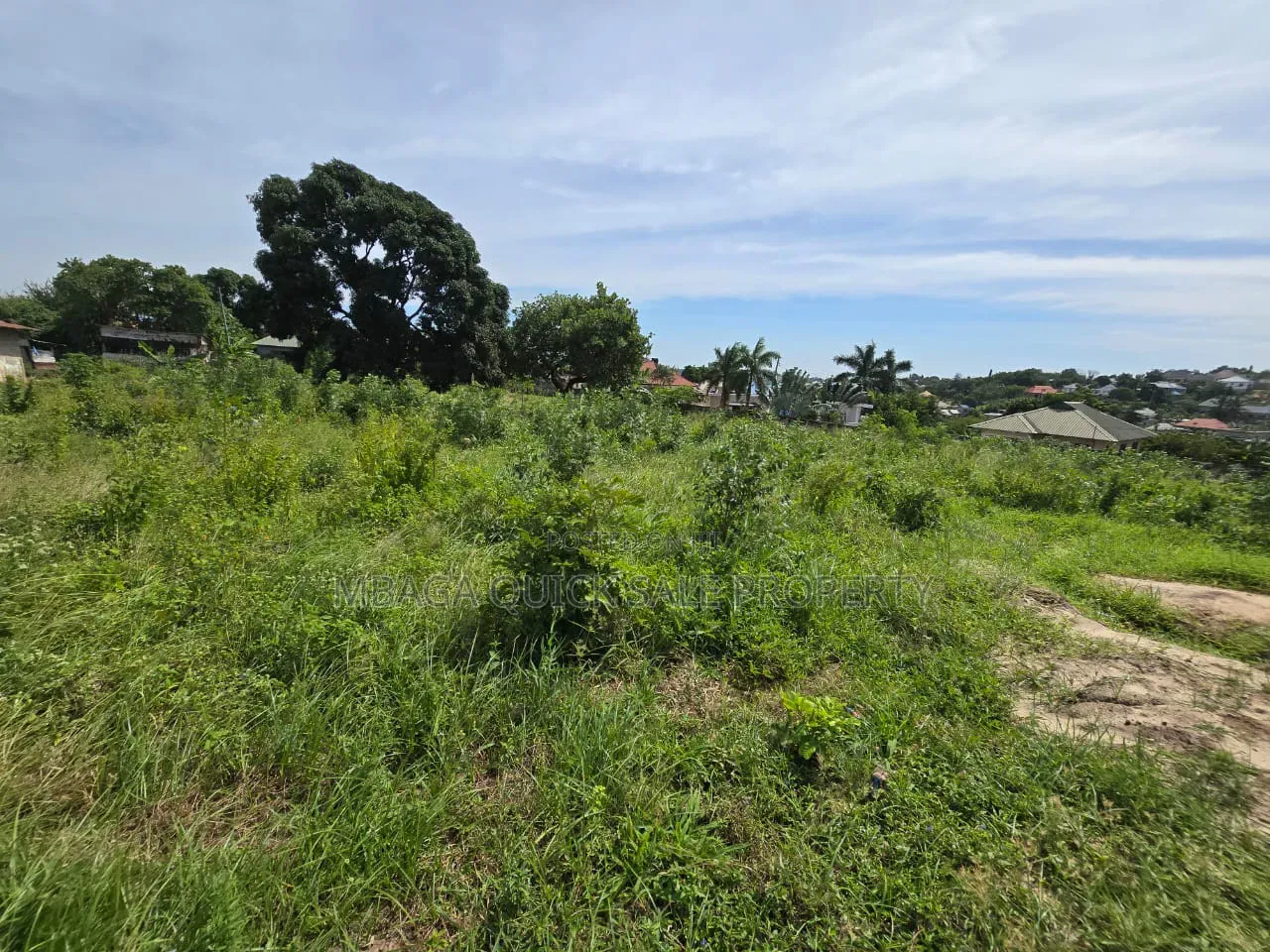 Plot Area SQM 1300 for Sale at Goba