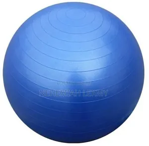 Yoga Ball Gym
