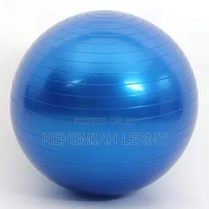 Yoga Ball Gym
