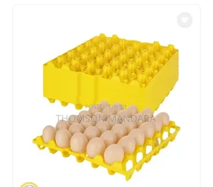 4importation 30holes Eggs Trays