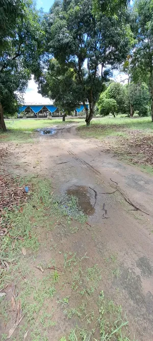 Eneo Linauzwa Kerege Amani Namba Nne