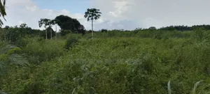 Land at Mkuranga