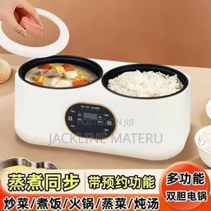 Electric Min Rice Cooker 2plate