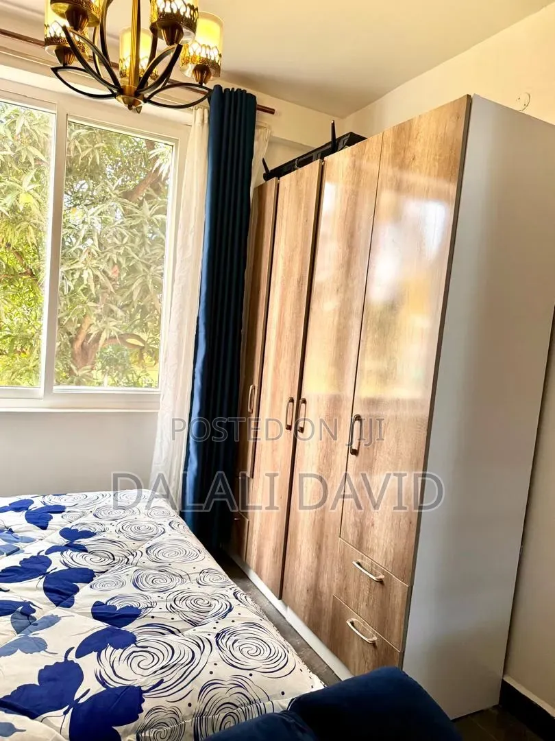 Furnished 1bdrm Apartment in Mikocheni for rent