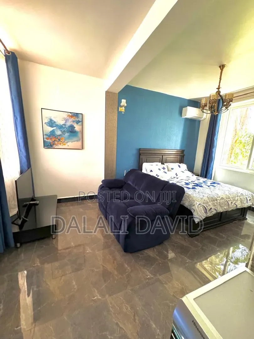 Furnished 1bdrm Apartment in Mikocheni for rent