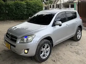Toyota RAV4 2010 Silver