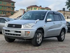 Toyota RAV4 2001 Silver