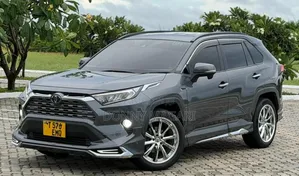 Toyota RAV4 2019 Gray