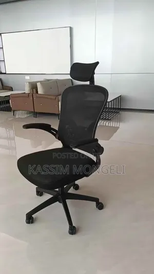Ergonomic Chairs