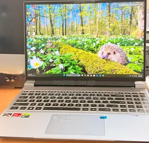 New Laptop 16GB AMD Ryzen 7 SSD 1T