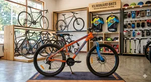 Mountain Bike