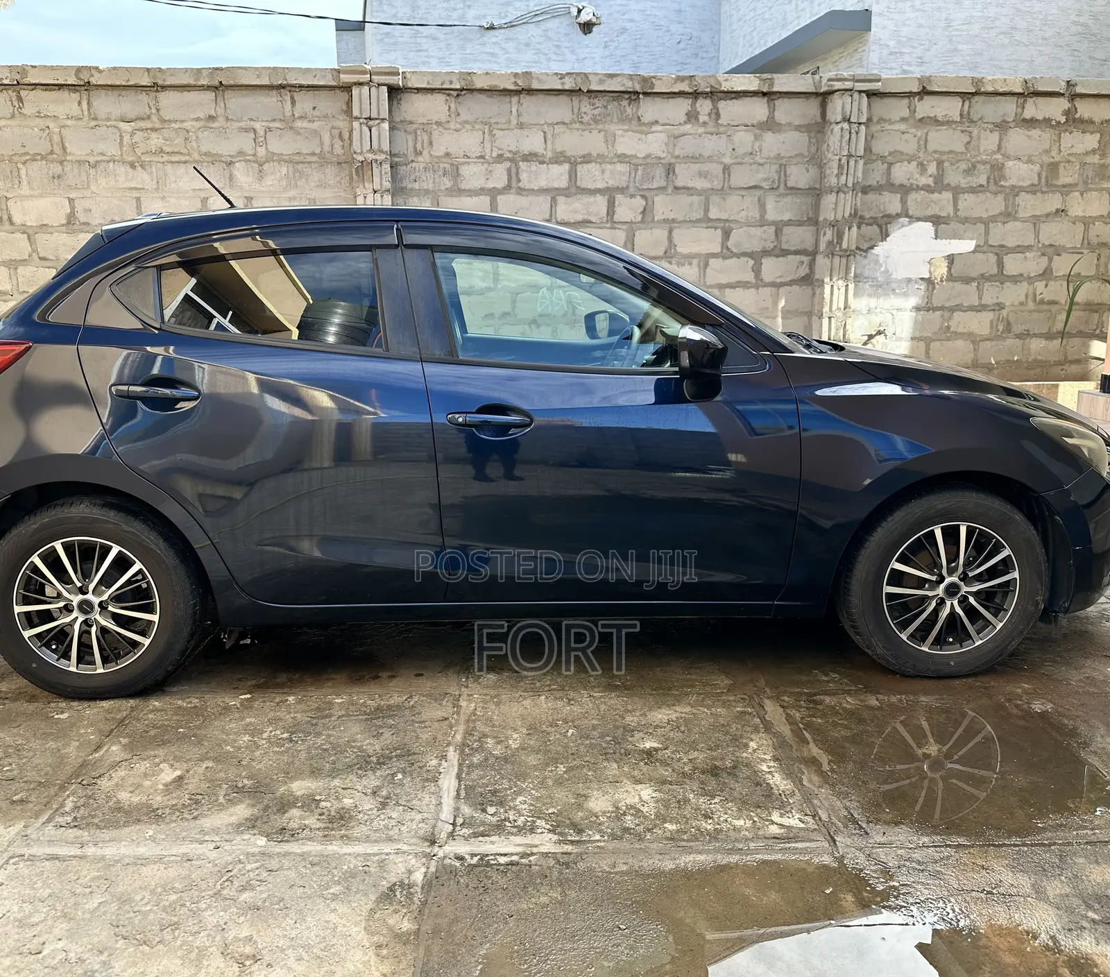 Car Rental