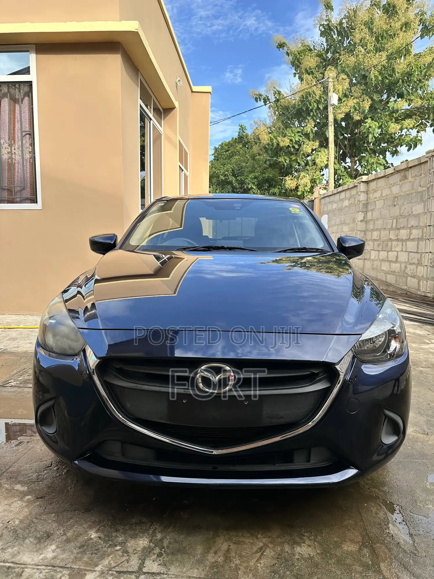 Car Rental