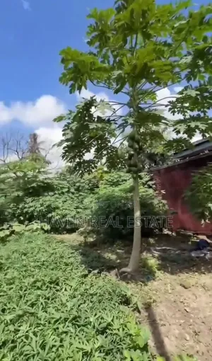 Plot for Sale at Mabibo