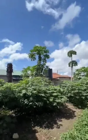Plot for Sale at Mabibo