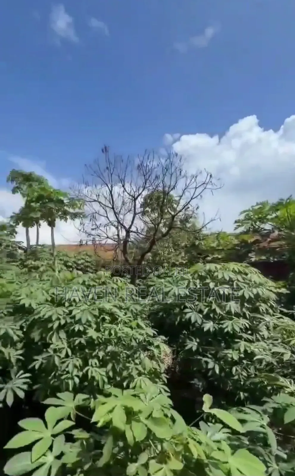 Plot for Sale at Mabibo