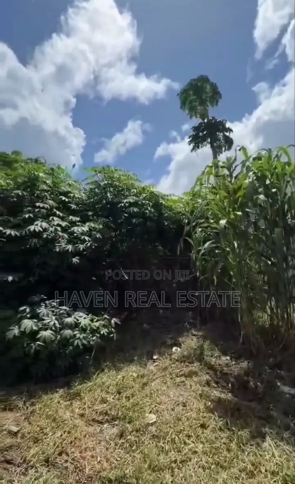 Plot for Sale at Mabibo