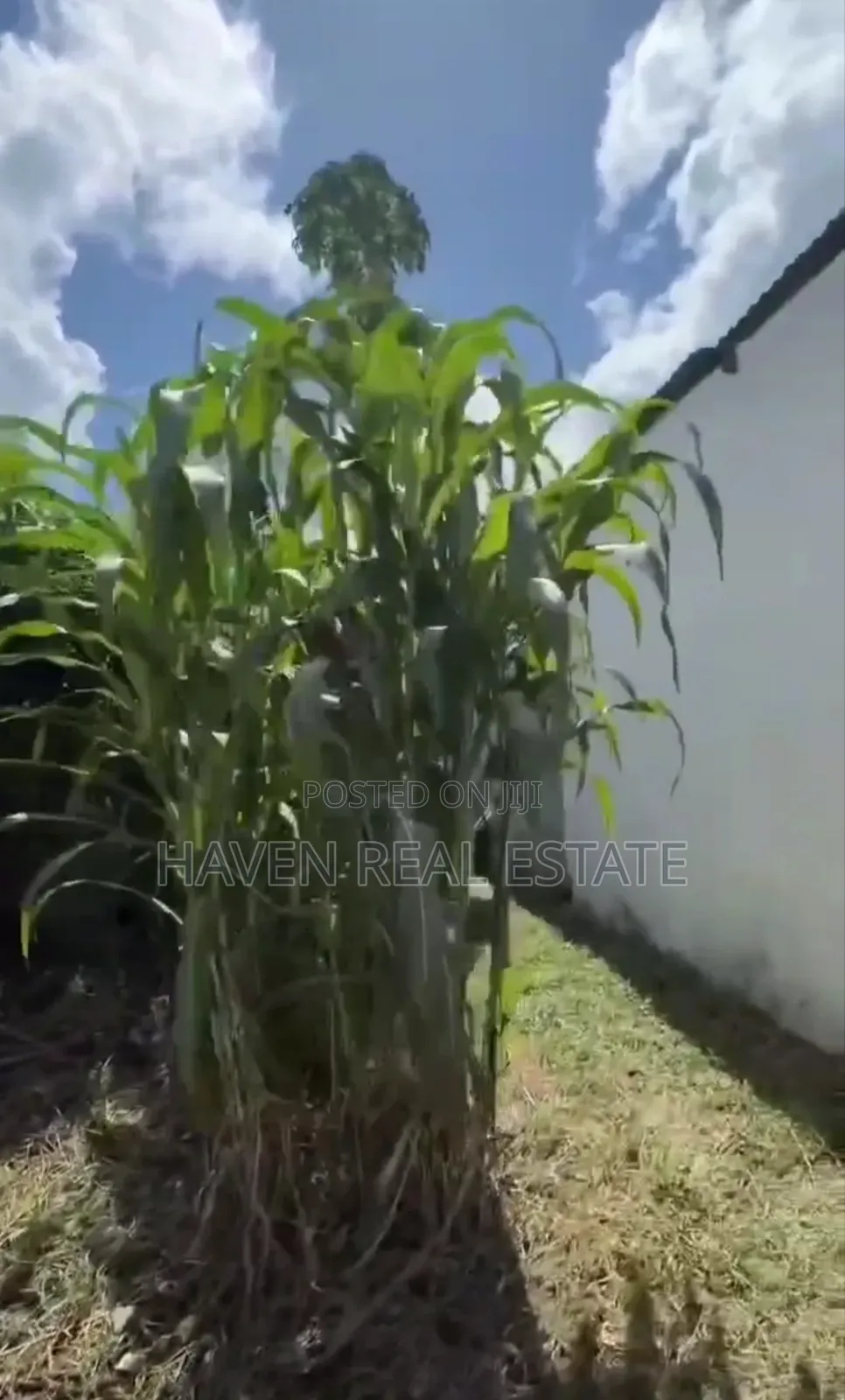 Plot for Sale at Mabibo