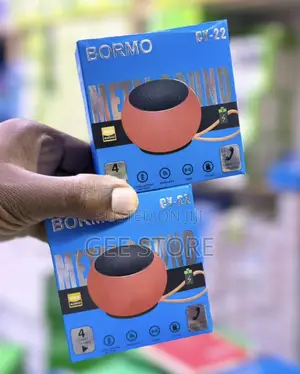 Bormo Cy22speaker
