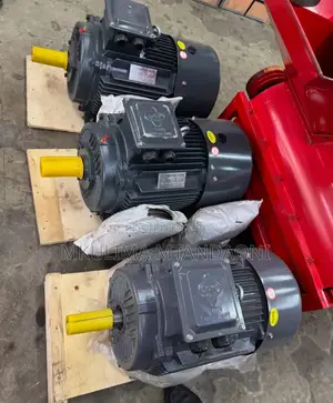 Electric Motor