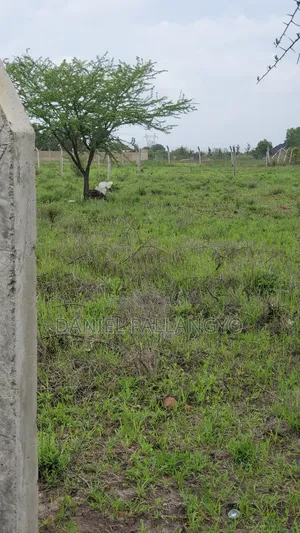 Viwanja Bora Vya Makazi Njoo Kikatiti 2.5m Only