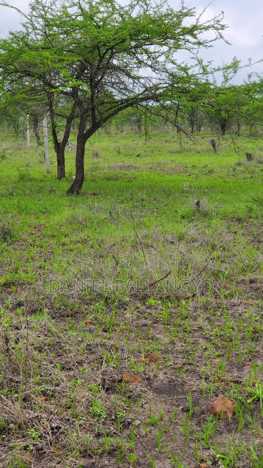 Viwanja Bora Vya Makazi Njoo Kikatiti 2.5m Only