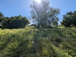 Big Plot 2890 Sq Meters Titled Plot for Sale in Bagamoyo